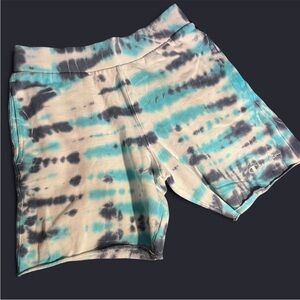 Champion Athletic Shorts Blue and Gray